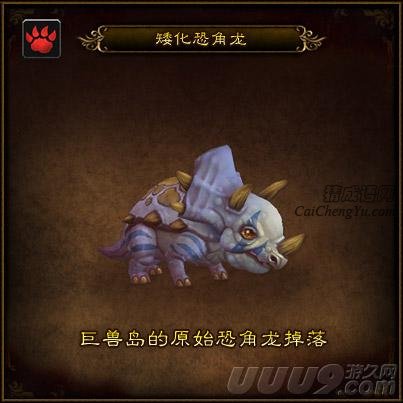 矮化恐角龙_魔兽世界5.3宠物分享矮化恐角龙介绍