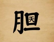 成语玩命猜胆字里面一个天字答案是什么？